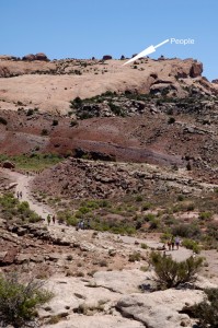 The hike we're going to take to see the "Delicate Arch" in Moab.